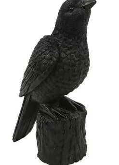 Countryfield Ornament Vogel Karolus L zwart