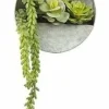 Countryfield Senecio groen met hangbakje