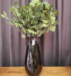 Countryfield Tak Eucalyptus groen 2