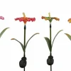 Countryfield Tuinsteker Hibiscus Solar LED - set van 4 tuinstekers