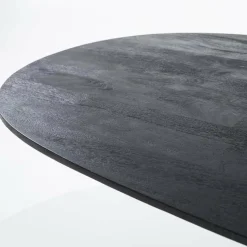 Eleonora Eettafel Aron ovaal 250x110 - zwart