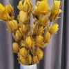 Light en Living Ornament 6 bloemen 90 cm TULIP okergeel