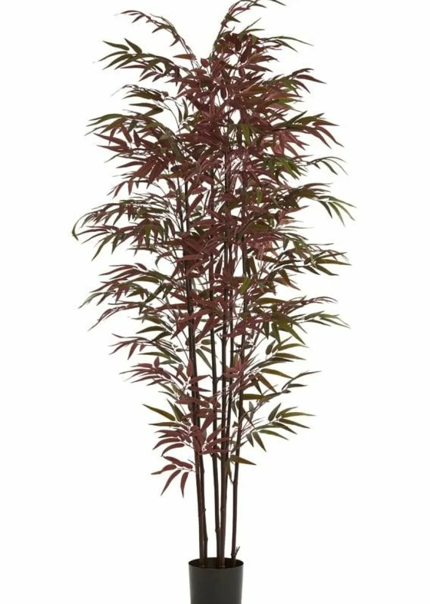 Light en Living Ornament in pot 70x60x180 cm BAMBOO naturel+groen/rood