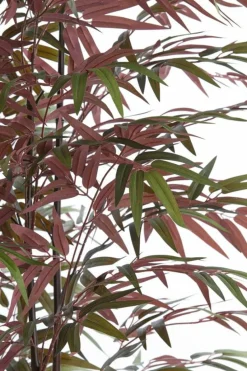 Light en Living Ornament in pot 70x60x180 cm BAMBOO naturel+groen/rood