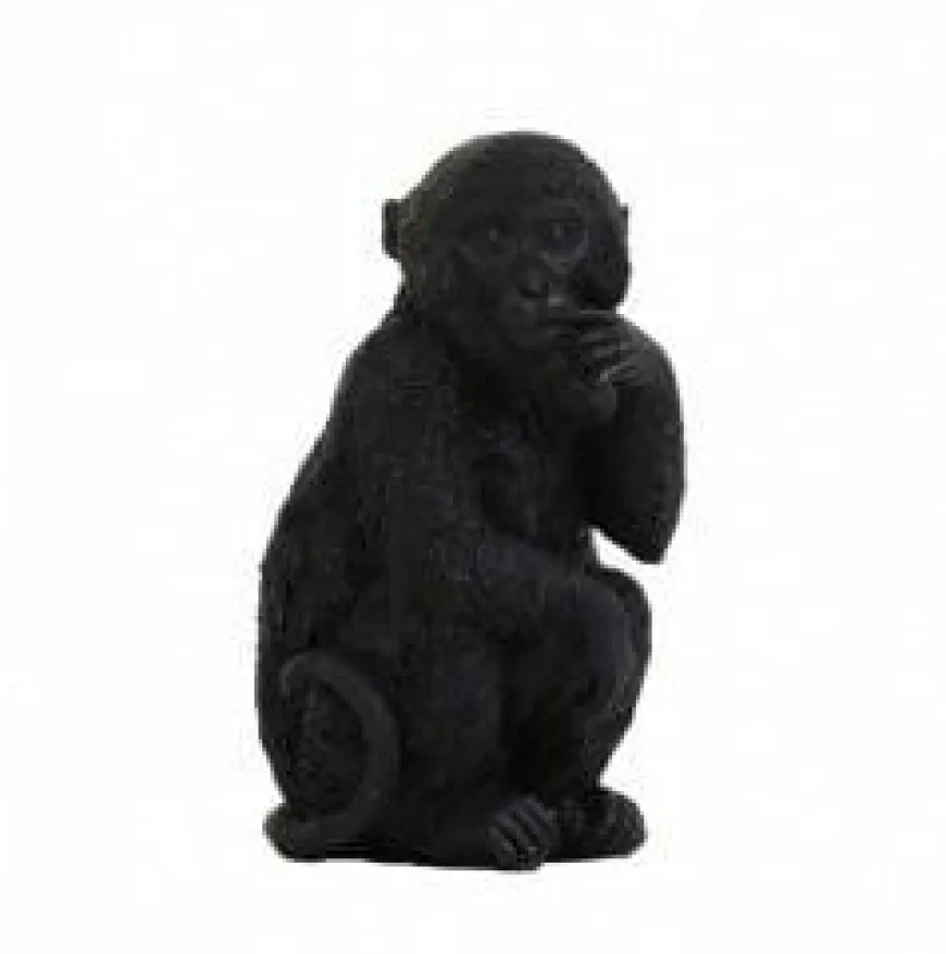 Light en Living Ornament Aap Zwart S