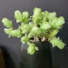 Light en Living Ornament 3 bloemen 70 cm TULIP licht groen