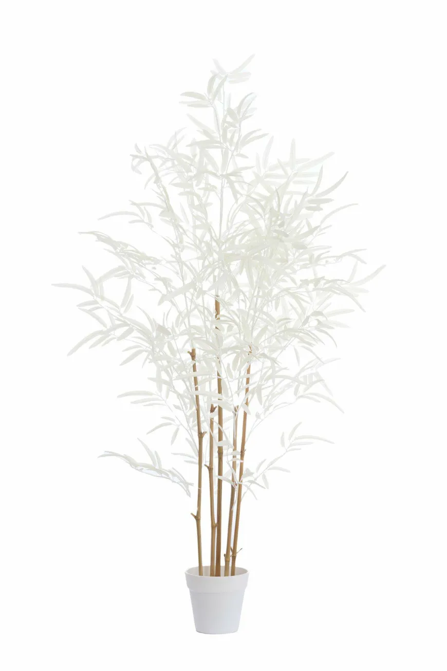 Light en Living Ornament in pot 70x60x120 cm BAMBOO naturel+crème
