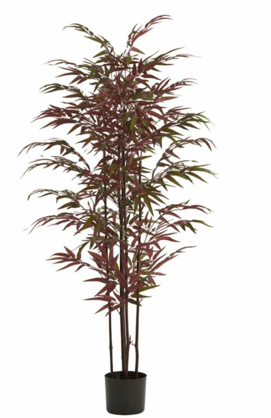 Light en Living Ornament in pot 70x60x150 cm BAMBOO naturel+groen/rood