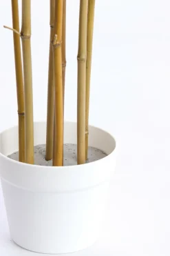 Light en Living Ornament in pot 70x60x90 cm BAMBOO naturel+crème