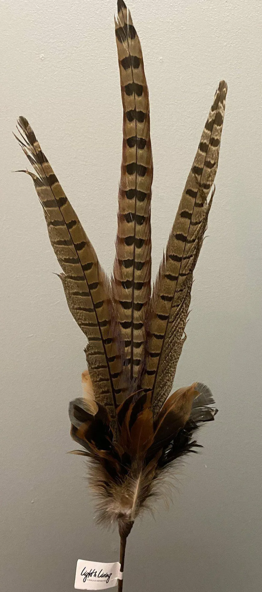 Light en Living Ornament Ø15x60 cm PHEASENT donker bruin
