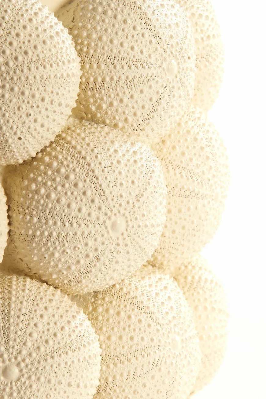 Light en Living Vaas deco Ø19X32,5 cm ZEEËGEL creme