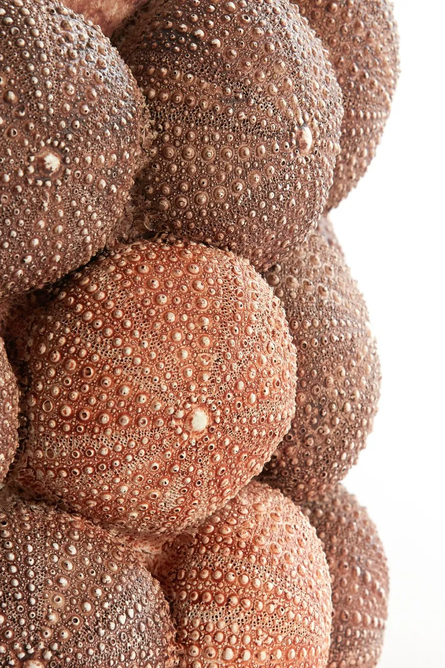Light en Living Vaas deco Ø19X32,5 cm ZEEËGEL koraal rood
