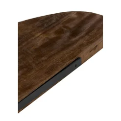 Light en Living Wandplank 49x15x3 cm GINOSU mat donker bruin