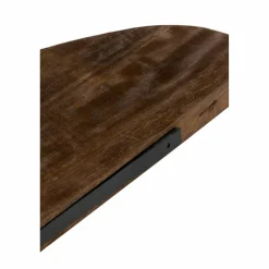 Light en Living Wandplank 100x25x3 cm GINOSU mat donker bruin