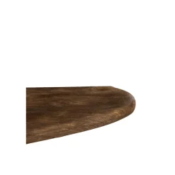 Light en Living Wandplank 100x25x3 cm GINOSU mat donker bruin