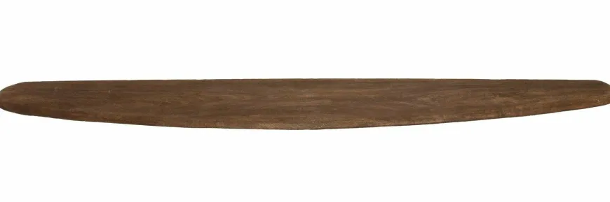 Light en Living Wandplank 80x20x3 cm GINOSU mat donker bruin