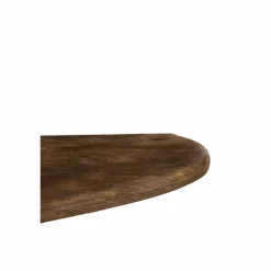 Light en Living Wandplank 70x17x3 cm GINOSU mat donker bruin