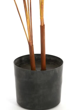 Parlane Ornament in pot STRELITZIA goud-bruin+zwart - Ø110 cm