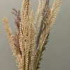 Parlane Ornament 10x2x53 cm WILD GRASS ivoor-roodbruin-groen