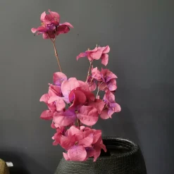 Present Time Kunsttak Flower Stem paars + roze