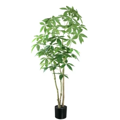 PTMD Geldboom in zwarte plastic pot