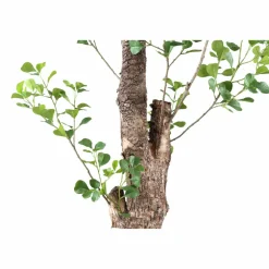 PTMD Kunstplant Groen Triangularis in pot 180cm