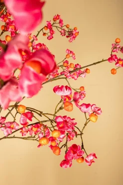 PTMD Kunsttak Euponymous roze en oranje