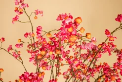 PTMD Kunsttak Euponymous roze en oranje