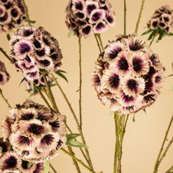 PTMD Kunsttak Garden Flower roze scabiosa