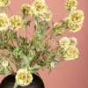 PTMD Kunsttak Groen Scabiosa