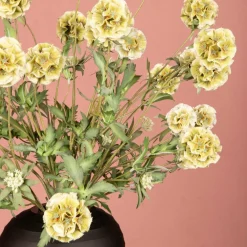 PTMD Kunsttak Groen Scabiosa
