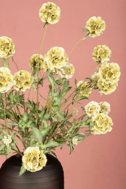 PTMD Kunsttak Groen Scabiosa