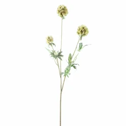 PTMD Kunsttak Groen Scabiosa