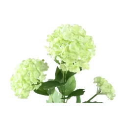 PTMD Kunsttak Hydrangea Flower groen snowball