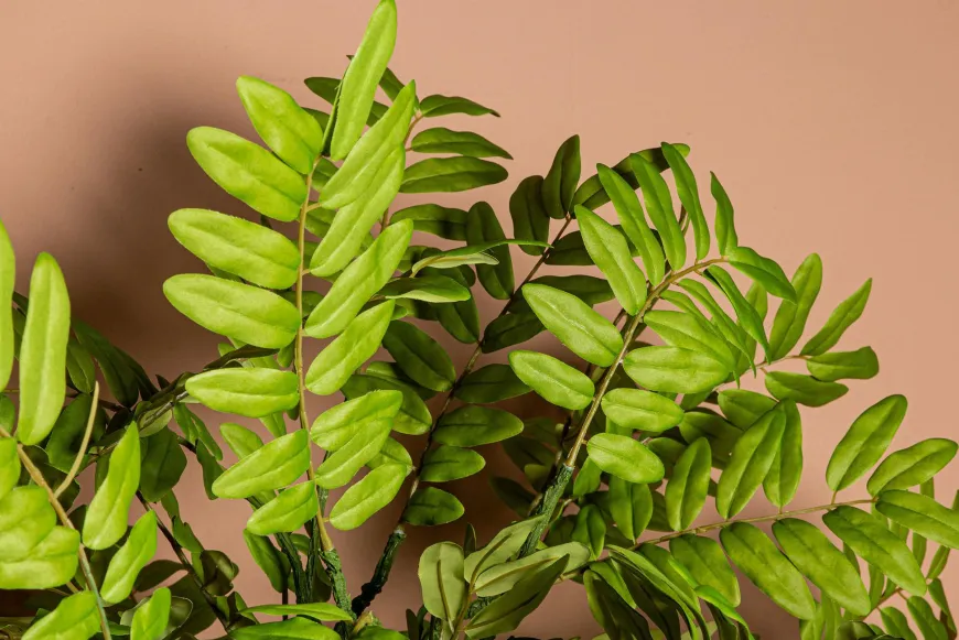 PTMD Kunsttak Leaves Plant green cassia leaves spray