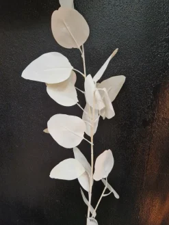 PTMD Kunsttak Leaves Plant eucalyptus creme