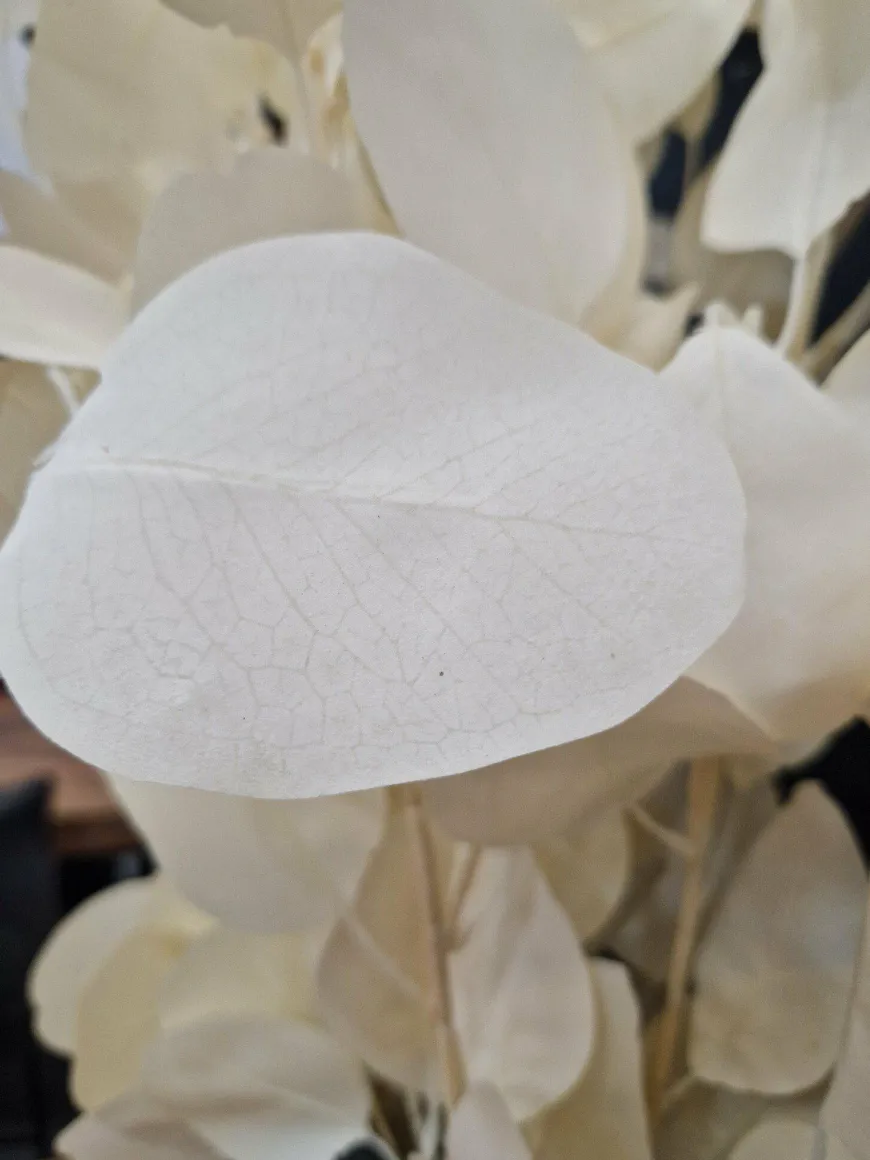 PTMD Kunsttak Leaves Plant eucalyptus creme