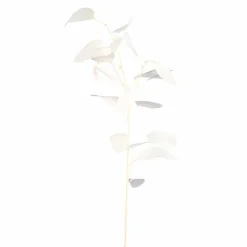 PTMD Kunsttak Leaves Plant eucalyptus creme