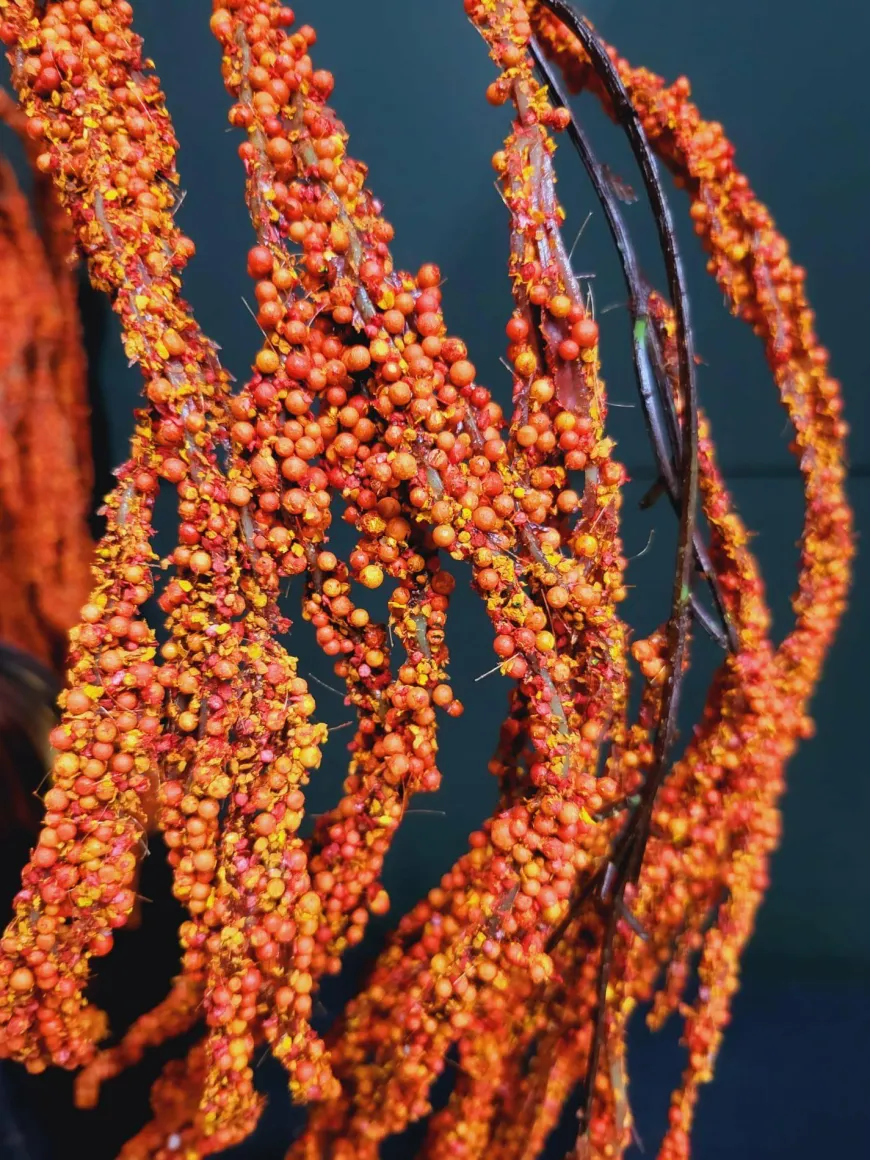 PTMD Kunsttak Twig Plant orange amaranthus hanging spray