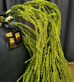 PTMD Kunsttak Twig Plant green amaranthus hanging spray