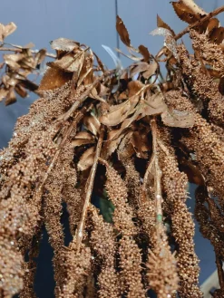 PTMD Kunsttak Twig Plant copper glitter amaranthus spray