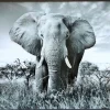PTMD Schilderij Melani Glass Art olifant groot