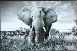 PTMD Schilderij Melani Glass Art olifant groot