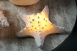 PTMD Tafellamp Graeme Wit Zeester sea star shaped LED lamp S