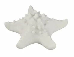 PTMD Tafellamp Graeme Wit Zeester sea star shaped LED lamp S