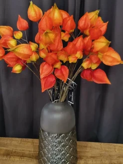 PTMD Vaas Gigi Groen XL