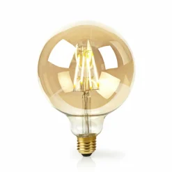 PTMD WiFi Smart LED gloeidraad gouden lamp rond