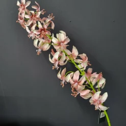 Pure Kunsttak Lelie 105 cm mauve