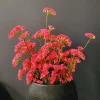 Pure Kunsttak Limonium 70 cm Beauty roze