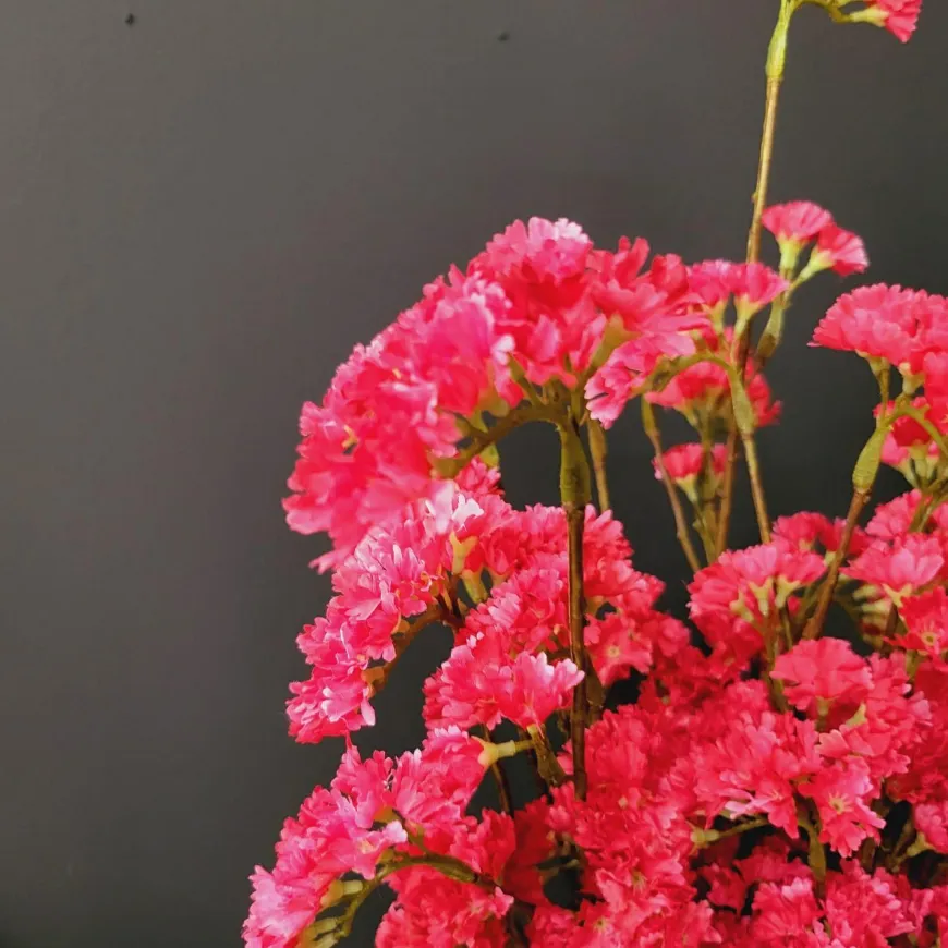 Pure Kunsttak Limonium 70 cm Beauty roze